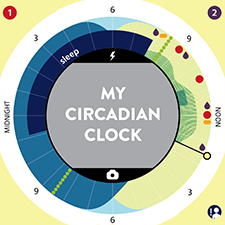 My Circadian Clock